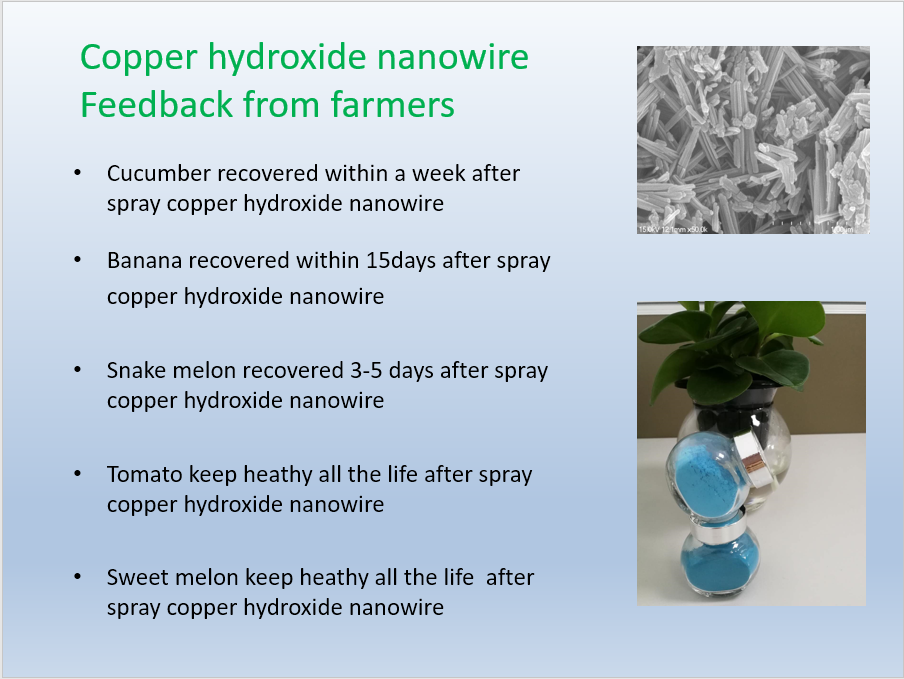 Copper Hydroxide Nanowire Feedback from Farmers