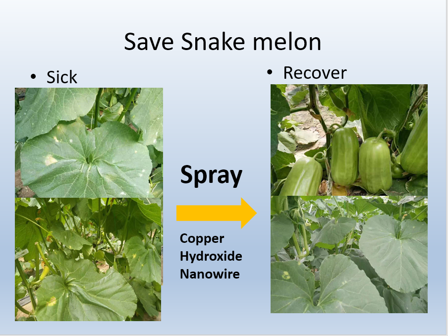 Snake melon(click here for details)