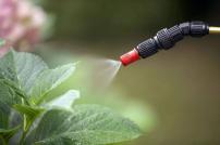 Pioneering Green Agrochemicals: The Transformative Power of Nano Basic Copper Sulfate